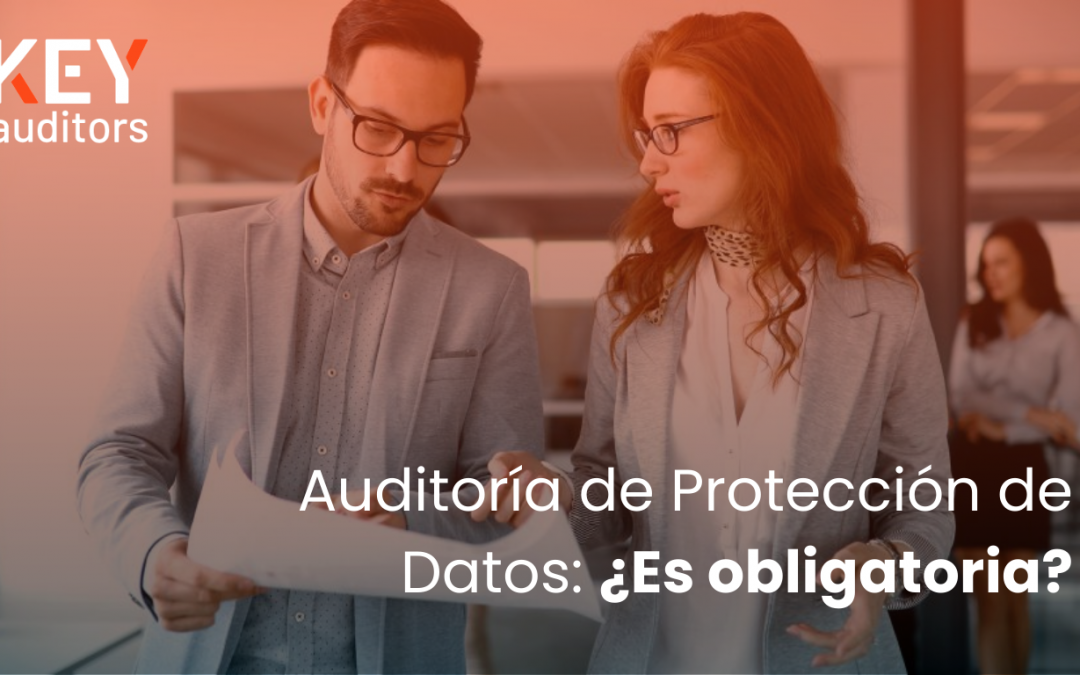 Auditoria proteccion de datos