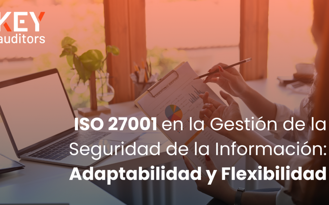 ISO 27001 en la Gestión de la Seguridad de la Información, adaptabilidad y flexibilidad