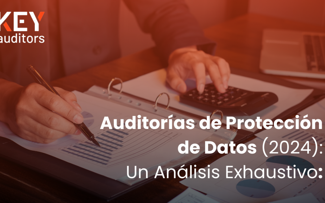Auditorías de Protección de Datos (2024): Un Análisis Exhaustivo